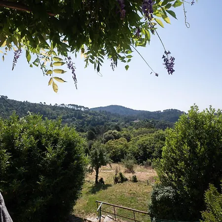 Holiday home La Maison De Flavie Sainte-Cecile-d'Andorge